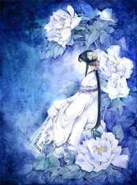 寡妇三嫁成王妃